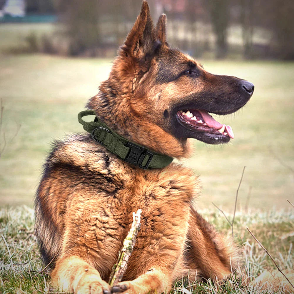 The Tactical Luxe Collar & Leash Fashioned Furbabies